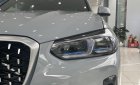 BMW X4 2022 - 3 tỷ 499 triệu
