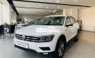 Volkswagen Tiguan CHƯƠNG TRÌNH ƯU ĐÃI  Bình Dương_ E 2022 - CHƯƠNG TRÌNH ƯU ĐÃI Volkswagen Bình Dương_Tiguan E