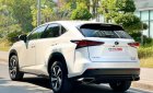 Lexus NX 300 2019 - Màu trắng, nhập khẩu nguyên chiếc