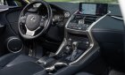 Lexus NX 300 2020 - Bán xe màu bạc