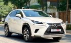 Lexus NX 300 2019 - Màu trắng, nhập khẩu nguyên chiếc