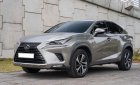 Lexus NX 300 2020 - Bán xe màu bạc