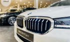BMW 530i 2022 - Tháng 11 khuyến mãi lớn - Đủ màu giao ngay - Hỗ trợ vay vốn lên đến 80%/8 năm