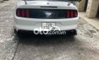 Ford Mustang   Convertible Model 2016 2016 - Ford Mustang Convertible Model 2016