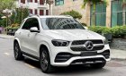 Mercedes-Benz GLE 450 2020 - Trắng, nội thất nâu