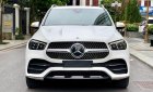 Mercedes-Benz GLE 450 2020 - Trắng, nội thất nâu