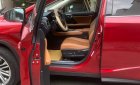 Lexus RX 300 2021 - Xe gia đình sử dụng, xe đẹp mới keng không lỗi lầm gì, xem xe quận 2