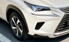 Lexus NX 300 2019 - Màu trắng, nhập khẩu