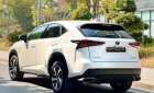 Lexus NX 300 2019 - Màu trắng, nhập khẩu