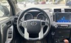 Toyota Land Cruiser Prado 2014 - Xe màu trắng, xe nhập