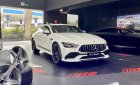 Mercedes-AMG GT 53 2022 - 1 chiếc duy nhất - Giao ngay