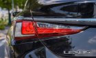 Lexus ES 250 2020 - Cần bán xe đen/nâu