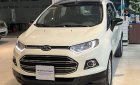 Ford EcoSport 2015 - Xe màu trắng