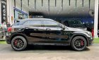 Mercedes-Benz GLA 250 2016 - Xe màu đen