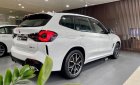 BMW X3 2022 - Msport LCI 2023, ưu đãi dịp tết lên đến 100tr, quà tặng vô vàn theo xe, giá tốt nhất cuối năm