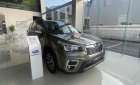 Subaru Forester 2022 - Giảm giá tiền mặt đến 259 triệu + Tặng BHVC - Sẵn xe giao