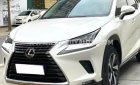 Lexus NX 300 2019 - Màu trắng, xe nhập