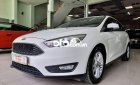 Ford Focus  2019 siêu cọp hiếm thấy 2019 - Focus 2019 siêu cọp hiếm thấy