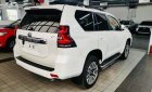 Toyota Land Cruiser Prado 2023 - Xe màu trắng