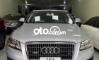 Audi Q5   nhập Đức 2010 - Audi Q5 nhập Đức