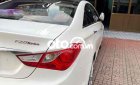 Hyundai Sonata   2.0 Y20 2010 - Hyundai Sonata 2.0 Y20