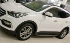 Hyundai Santa Fe 2016 - Mẫu SUV trẻ trung, khỏe khoắn