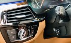 BMW 530i 2019 - Màu đen nội thất nâu