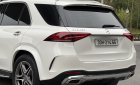 Mercedes-Benz GLE 450 2020 - Trắng, nội thất nâu