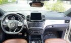 Mercedes-Benz GLE 450 2016 - Trùm mền ít chạy odo thấp 1 đời chủ