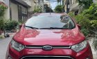 Ford EcoSport 2017 - Tên cá nhân chính chủ đời đầu