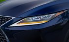 Lexus RX 300 2020 - Đăng ký lần đầu 2020, mới 95%, giá chỉ 2 tỷ 999tr