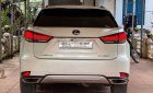 Lexus RX 300 2021 - Giá 3 tỷ 296tr, màu trắng