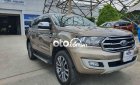 Ford Everest   Titanium 4x4 2019 2019 - Ford Everest Titanium 4x4 2019