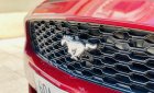 Ford Mustang 2015 - Màu đỏ, xe nhập
