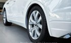 Volkswagen Touareg 2023 - Màu trắng có xe xem tại VW Sài Gòn - Mua xe Đức tặng du lịch Châu Âu