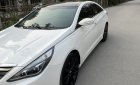 Hyundai Sonata 2010 - Xe nhập khẩu. Xe xuất sắc, không lỗi nhỏ, máy số keo chỉ zin, nhiều đồ chơi, biển tỉnh gốc Hà Nội