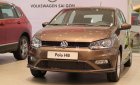 Volkswagen Polo 2023 - màu nâu hổ phách xe nhập Đức giá rẻ cứng chắc an toàn - Có xe giao ngay