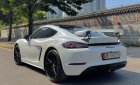 Porsche 718 2019 - Đăng ký 2019, nhập khẩu, giá tốt 4 tỷ 350tr