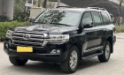 Toyota Land Cruiser VX 2019 - Bán Toyota Land Cruiser VX đời 2020, màu đen, nhập khẩu nguyên chiếc