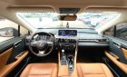 Lexus RX 300 2022 - Model 2023, biển thành phố
