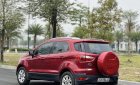 Ford EcoSport 2015 - Tư nhân chính chủ