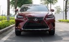 Lexus NX 300 2018 - Màu đỏ, nhập khẩu nguyên chiếc