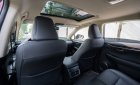 Lexus NX 300 2018 - Màu đỏ, nhập khẩu nguyên chiếc