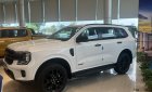 Ford Everest 2023 - Giá xe tốt nhất năm, liên hệ hotline ngay để nhận quà khủng T3/4