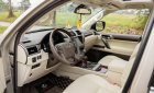 Lexus GX 460 2010 - Đã đi 6,9v km