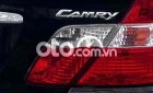 Toyota Camry can ban 2003 - can ban