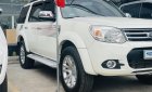 Ford Everest 2013 - Xe màu trắng