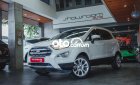 Ford EcoSport   Titanium sx 2018 odo chuẩn 4v 2018 - Ford Ecosport Titanium sx 2018 odo chuẩn 4v