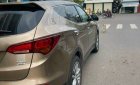 Hyundai Santa Fe 2017 - Xe màu nâu