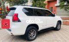 Toyota Land Cruiser Prado BÁN  2019 - BÁN LAND CRUISER PRADO